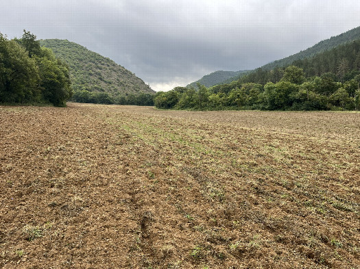 #1: View from 10m west towards the CP