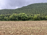 #4: View to the south
