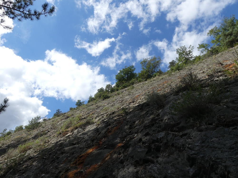 West view