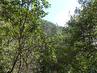 #4: East view