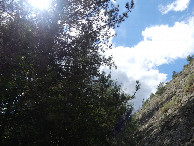 #5: South view
