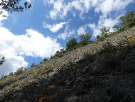 #6: West view