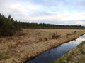 #9: The Confluence from 100 m distance