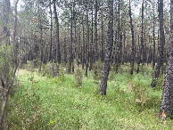 #2: View to the north