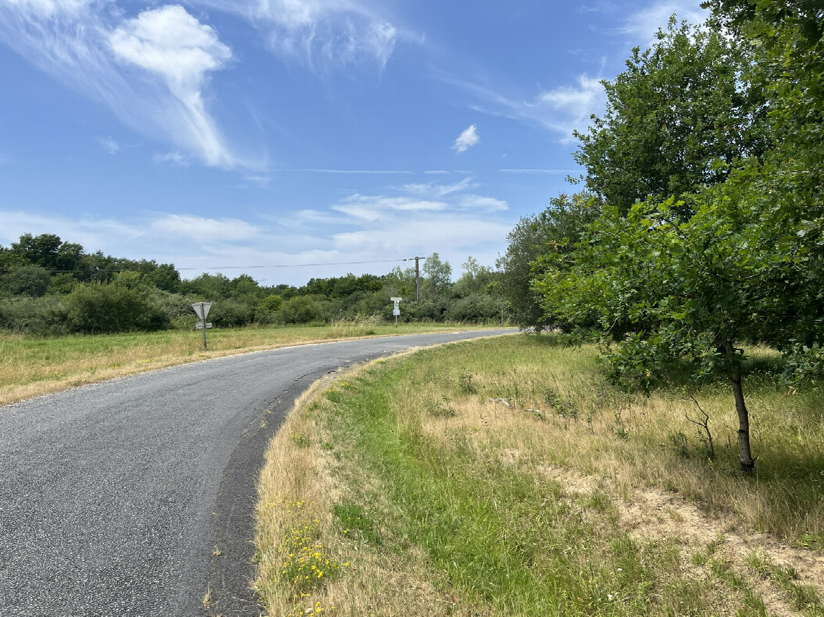 View toward the confluence point from the road