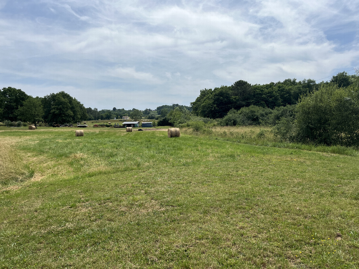 View to the south