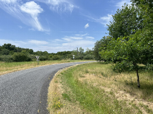 #1: View toward the confluence point from the road