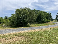 #3: View to the east