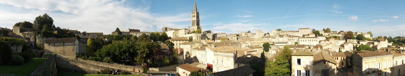 Saint Emilion panoramic view