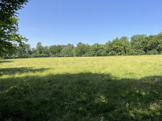 #1: View toward the confluence point from the road