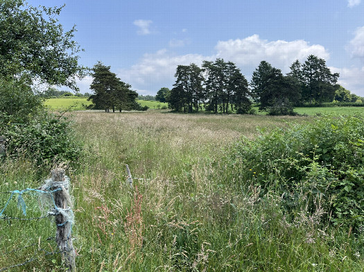 #1: View toward the confluence point from the road