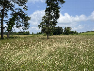 #2: View to the north