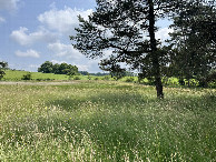 #3: View to the east