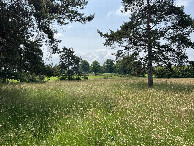 #4: View to the south
