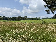 #5: View to the west