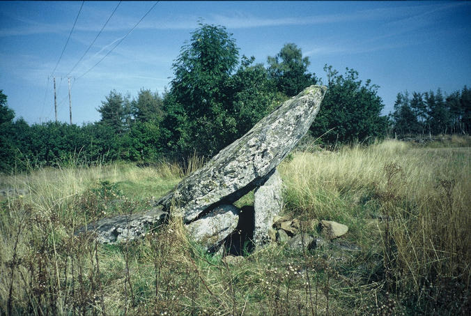 ‘Grand Dolmen de la Table au Loup’ (at 44° 59.225' N 3° 0.594' E, altitude 1018 m) not far away from the confluence point