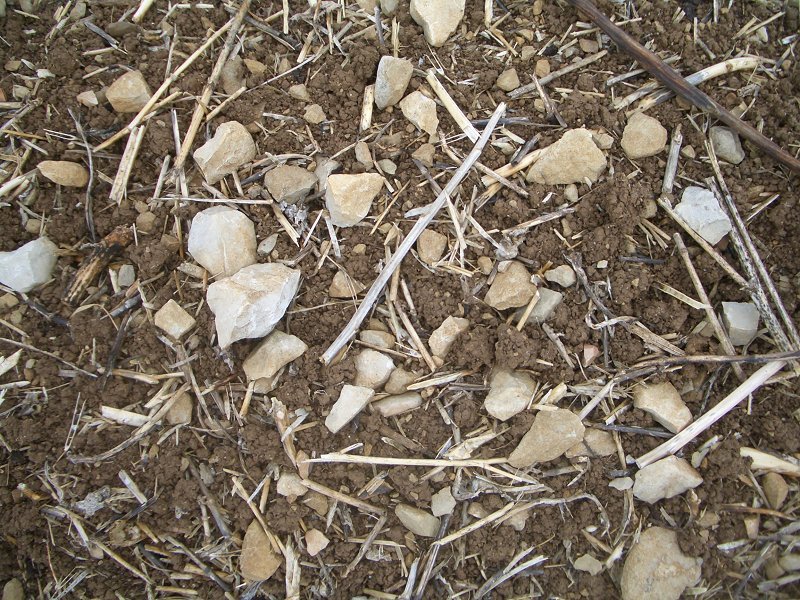 Detail of the soil at DCP and around