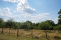 #4: View West (towards a country road, 40 m away)