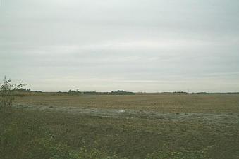 #1: The DCP at 1.3 km distance over the fields