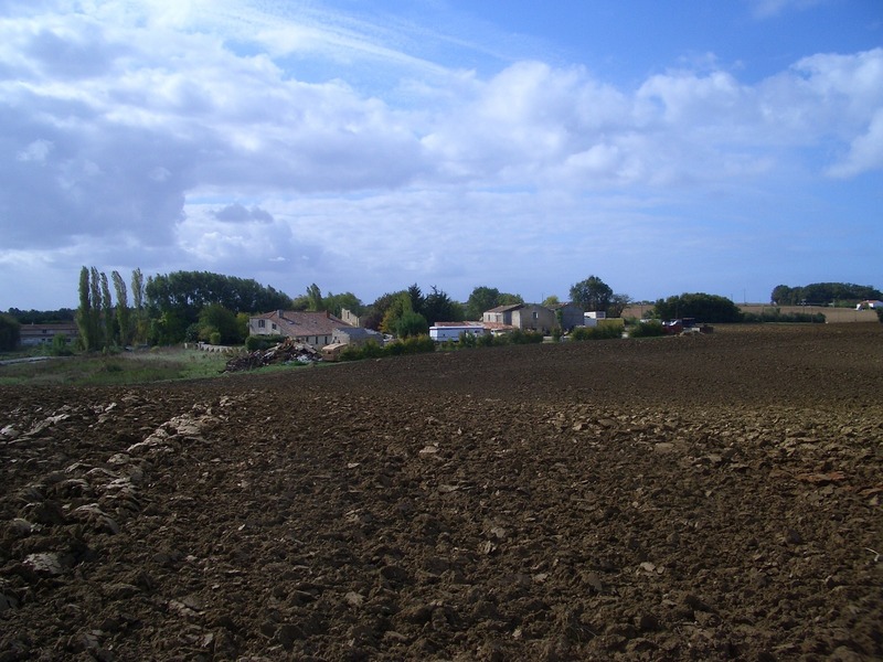 The field between L'Houmee and the confluence point