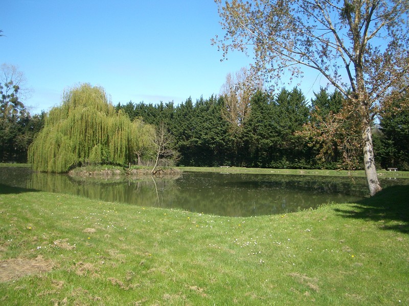 Picnic pond