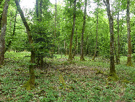 #5: South view
