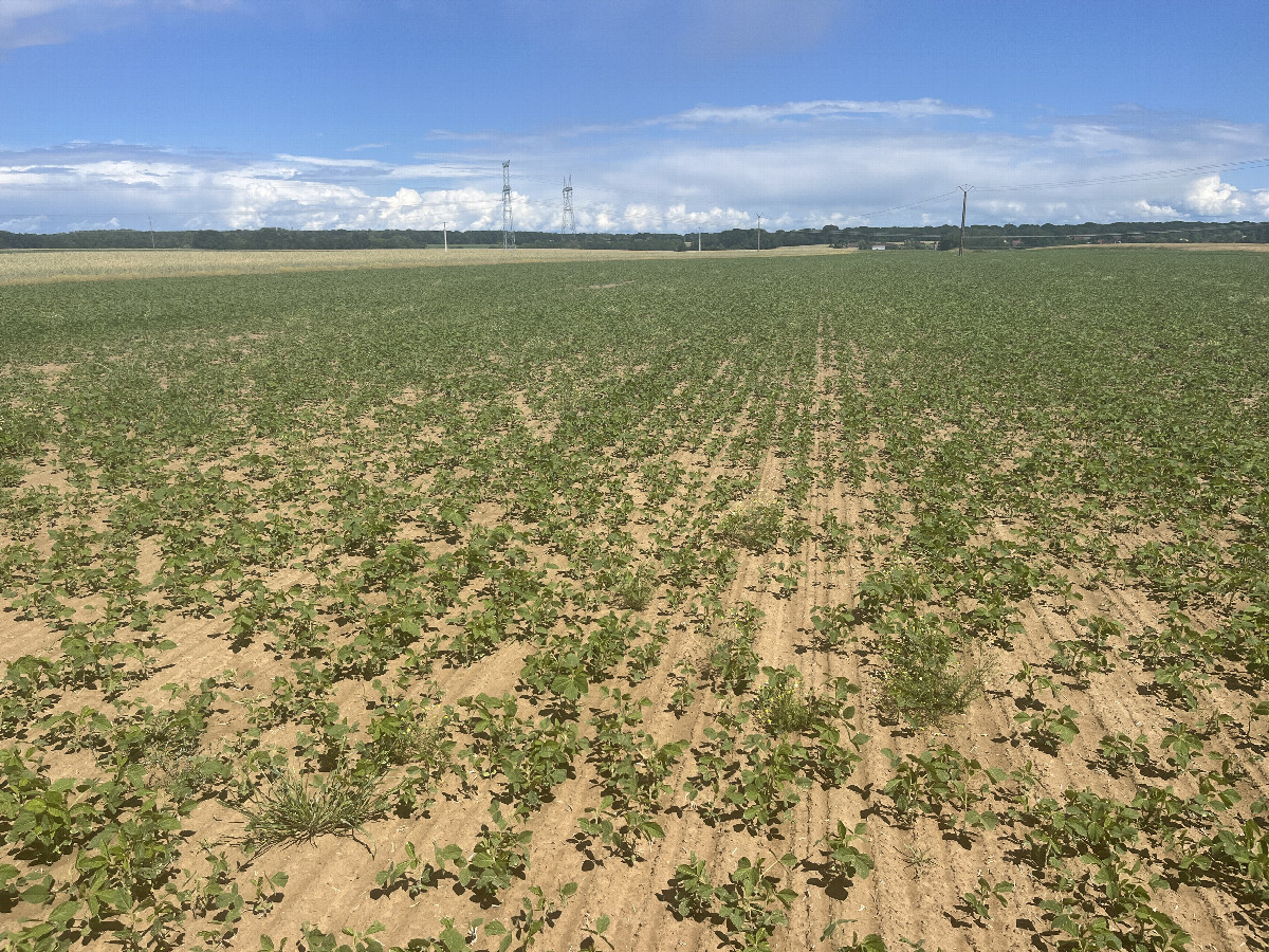 Overview, 15m away from the west