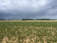 #2: View to the north