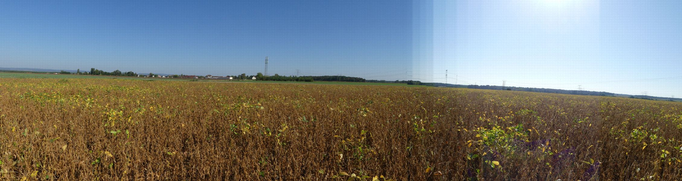 N-E-S Panoramic view 