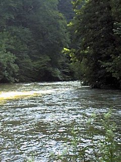 #1: The river Lison 300 Meters NE of Confluence - Looking West