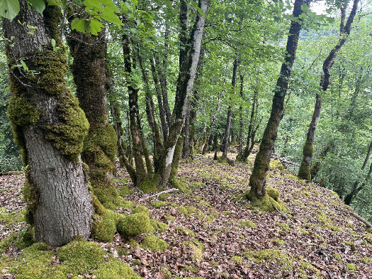 #1: Overview, 90m away from the south