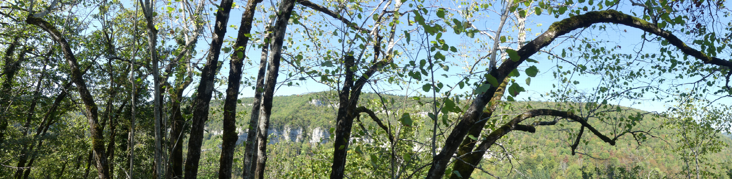 W - N Panoramic view from the rim of the canyon