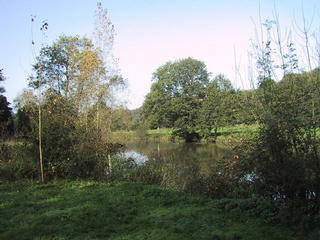 #1: The confluence, close to the river "Sèvre nantaise"