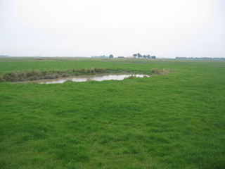 #1: The Confluence from 20 m