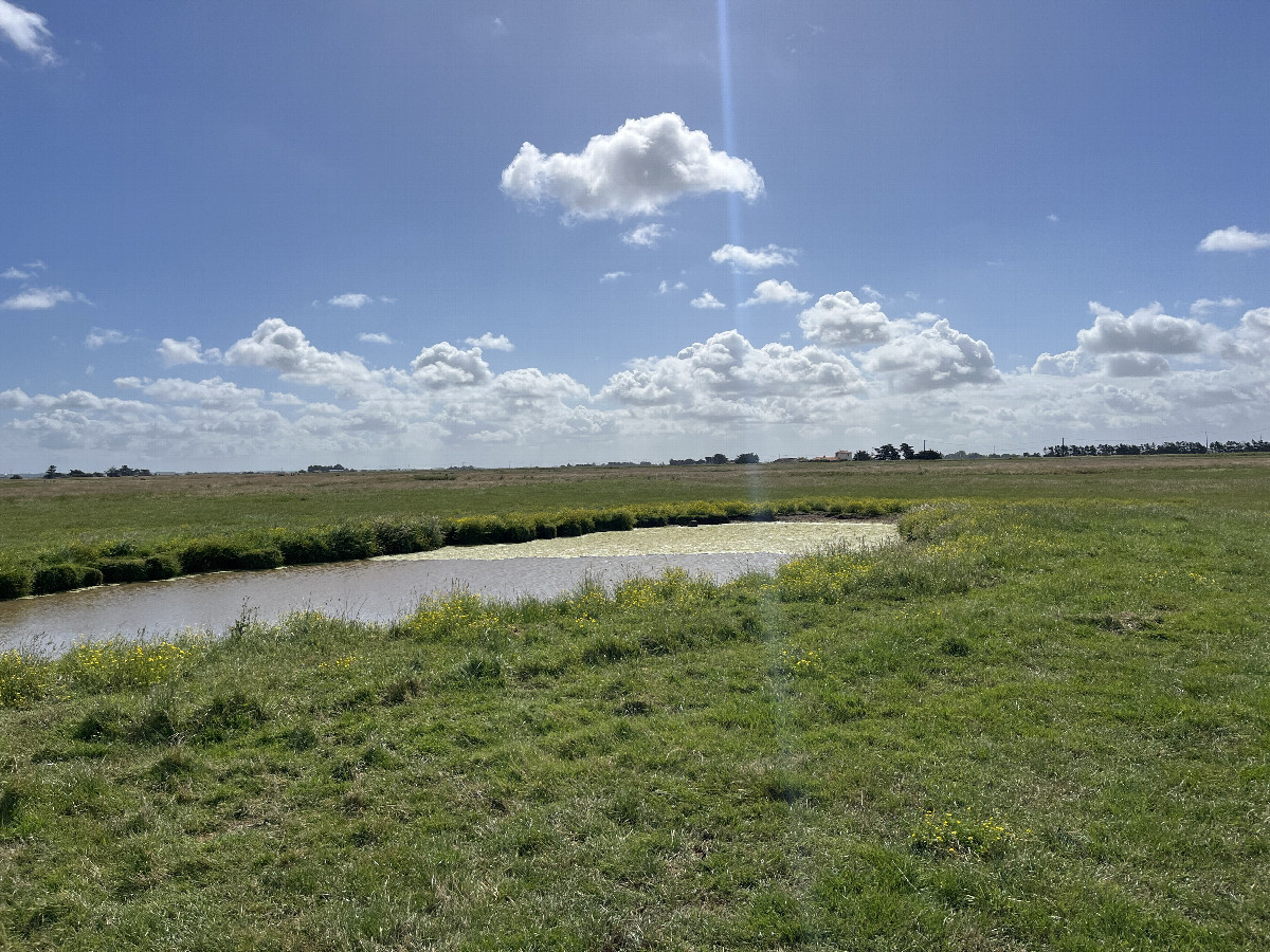 View to the east