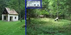 #9: Pass the chapel, turn left at the horses to follow the Steinwasen sign
