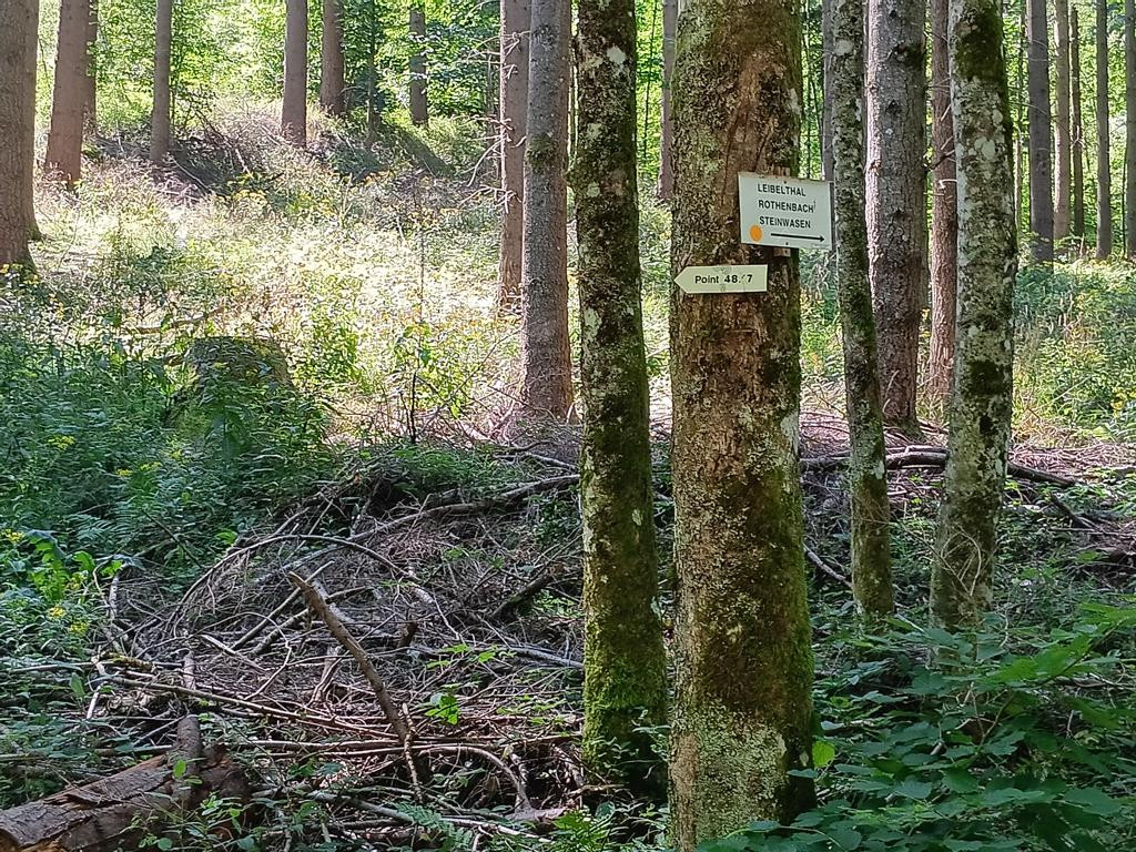 sign towards N 48 E 7