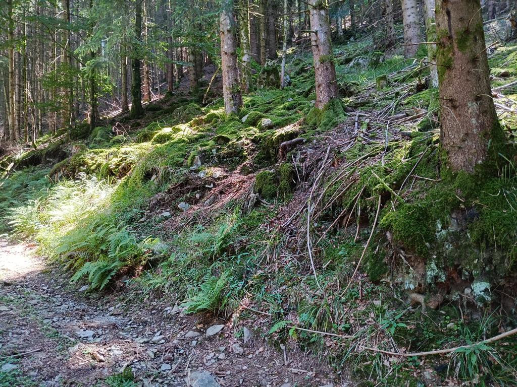 Süden; view south