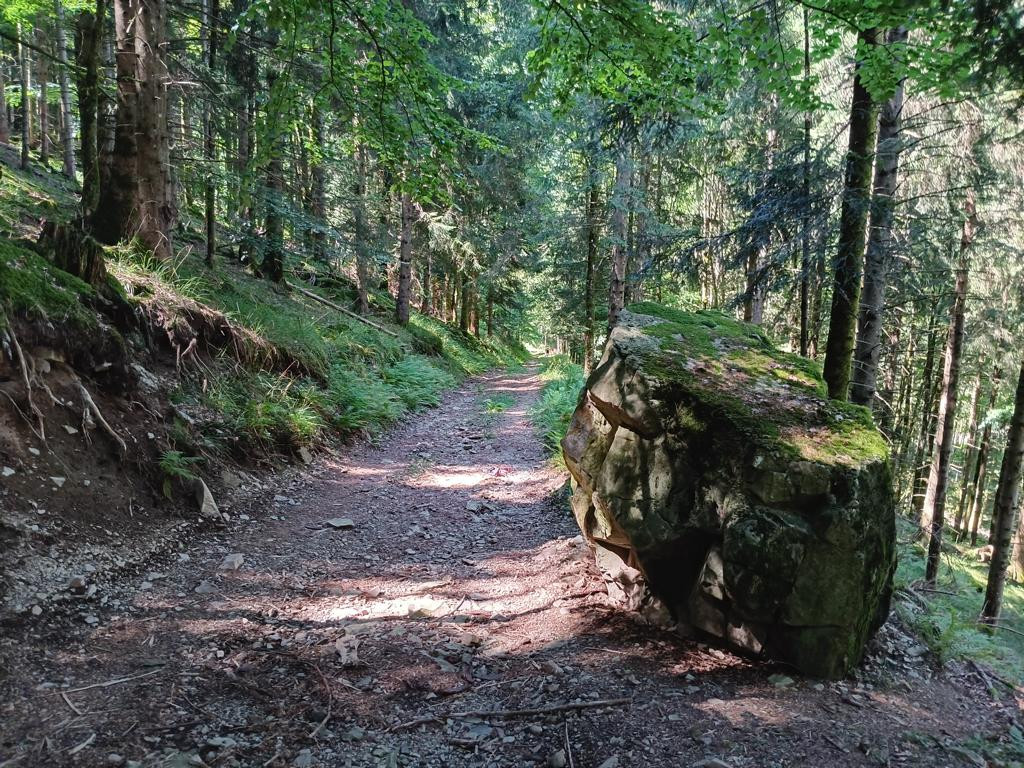 boulder near CP, distance approx 10 meters