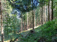 #2: Osten; view east