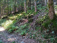 #3: Süden; view south