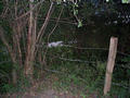 #5: The fence that tore my trousers