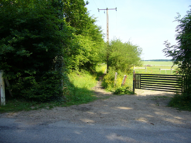 Beginning of the foot path