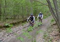 #8: Mountain biking in the forest