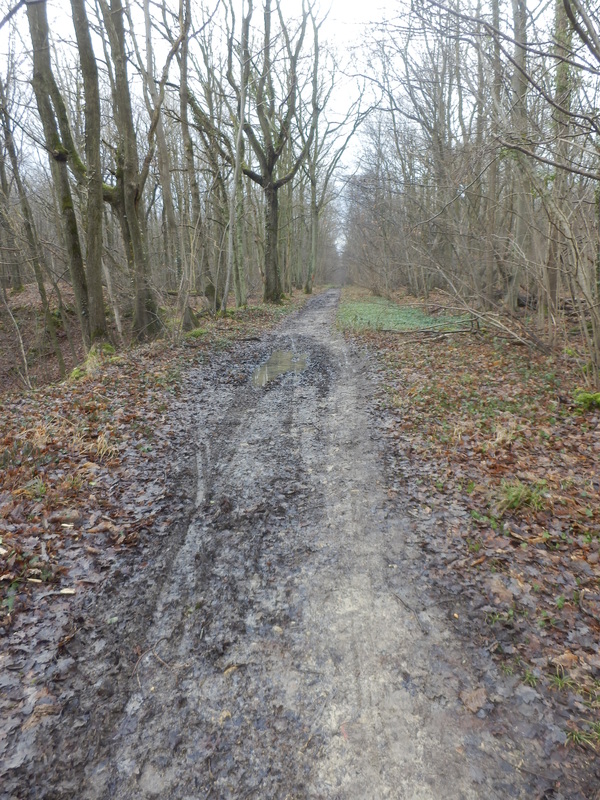 The muddy path near the Confluence