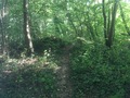 #10: Footpath to the Confluence