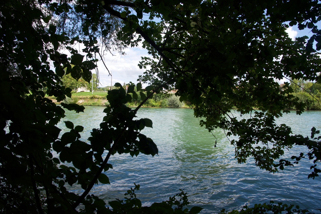 The confluence point lies near the bank of an island in the Marne River.  (This is also a view to the East, across the Marne.)