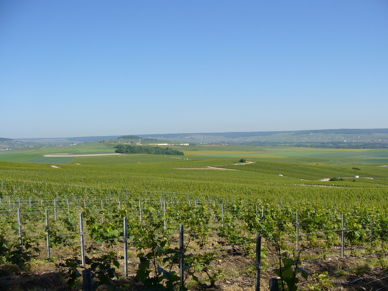 80 metres off the point you have this marvellous view towards the North West over vineyards