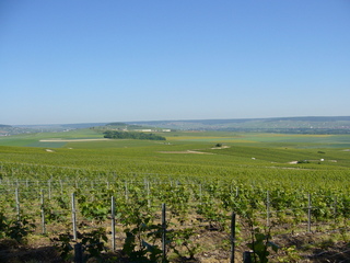 #1: 80 metres off the point you have this marvellous view towards the North West over vineyards