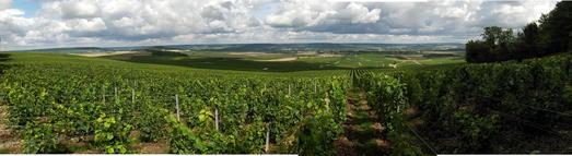 #1: PANORAMIC NW VIEW AT 72 MTS FROM CP. VINEYARDS FOR CHAMPAGNE